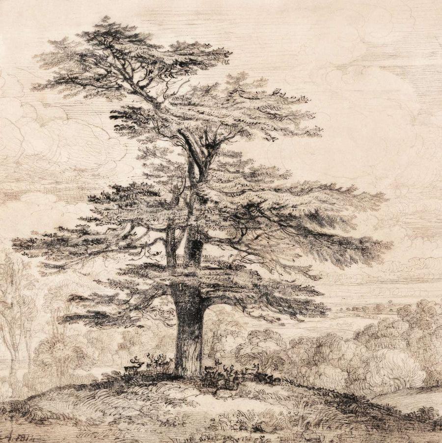 Sketches and Etchings