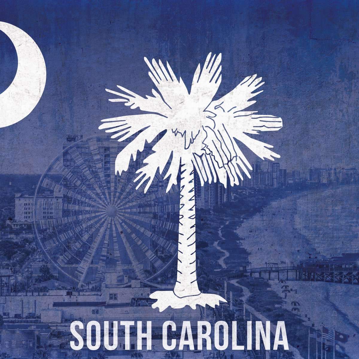 South Carolina Flag Wall Art