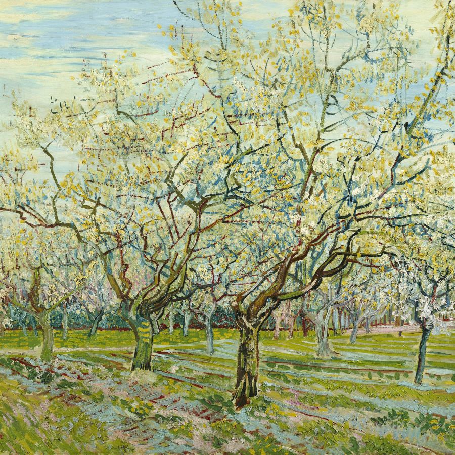 Large Spring Art Spring Wall Art | Prints, Framed Prints And Multi Panel Art