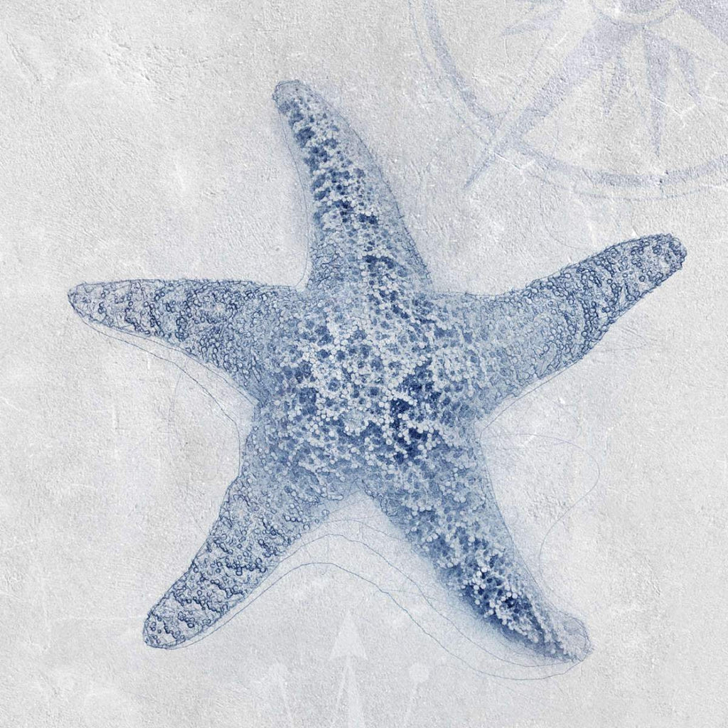 Starfish Fishing Net Blue Decor Coastal Decor Metal Starfish Light