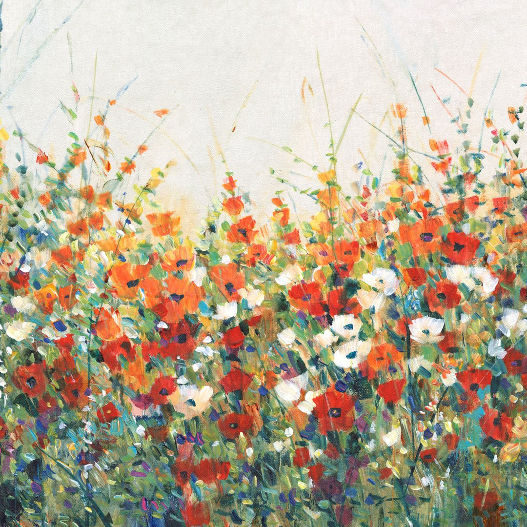 Artists | Elephant Stock