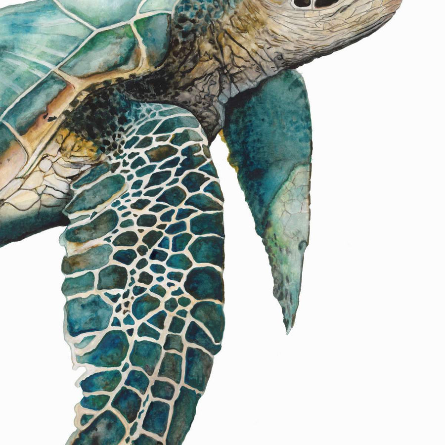 Neutral Sea Turtle I Wall art by Carol Robinson | Elephant Stock