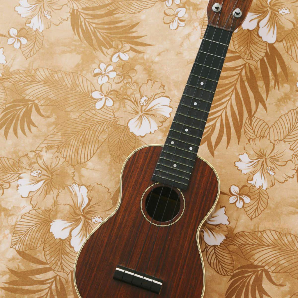 Ukulele Wall Art Prints, Framed Prints And Multi Panel Art