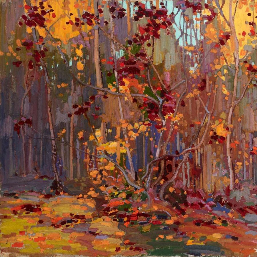 Warm Fall Browns
