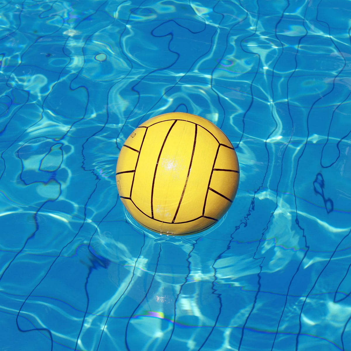 Aquatic Polo aquatic-polo