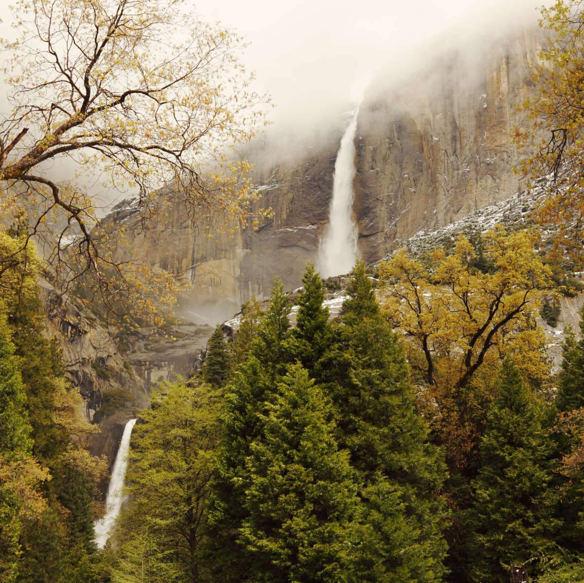 Yosemite Falls Wall Art