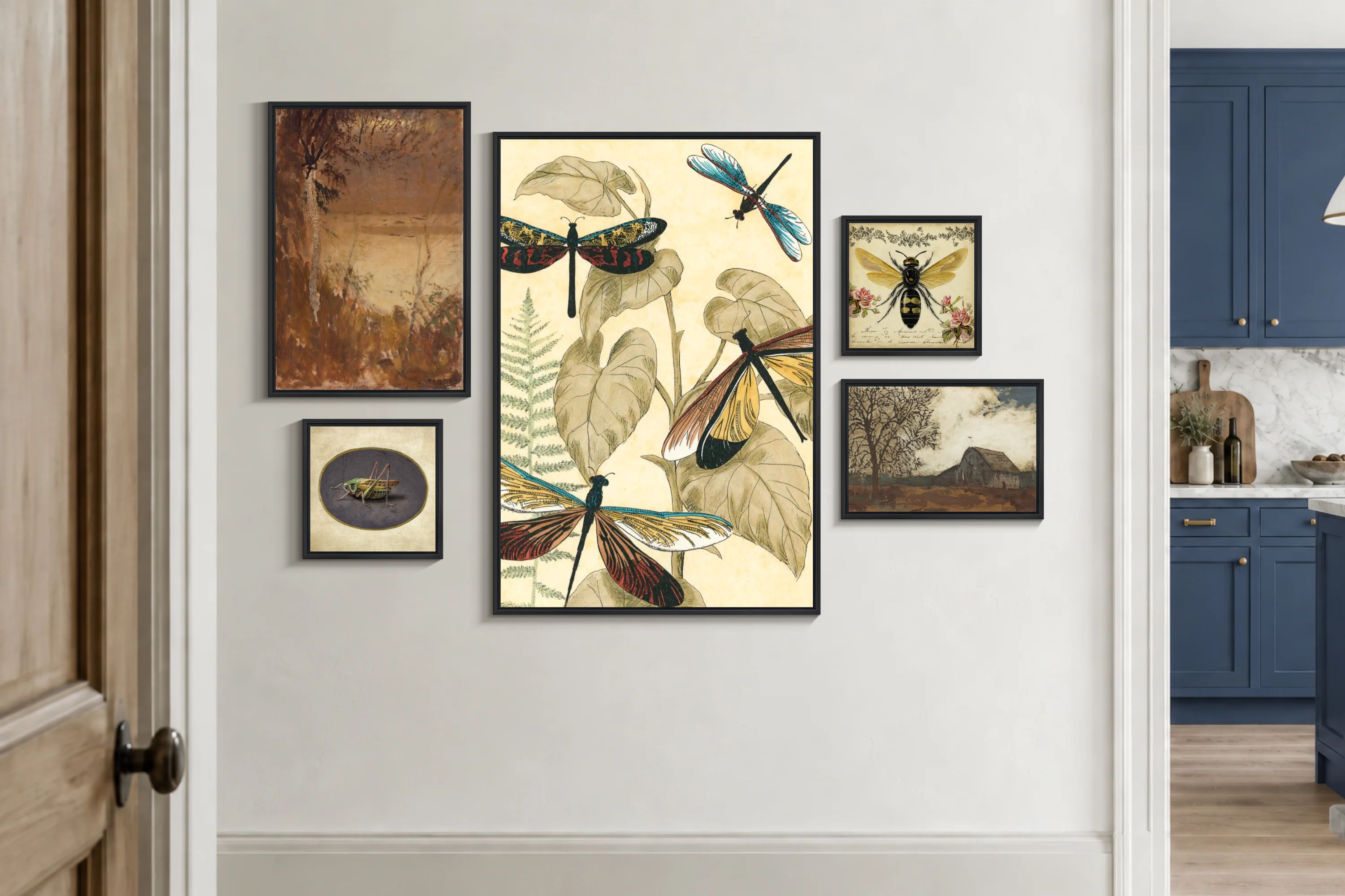 Vintage Insect Nature Illustrations
