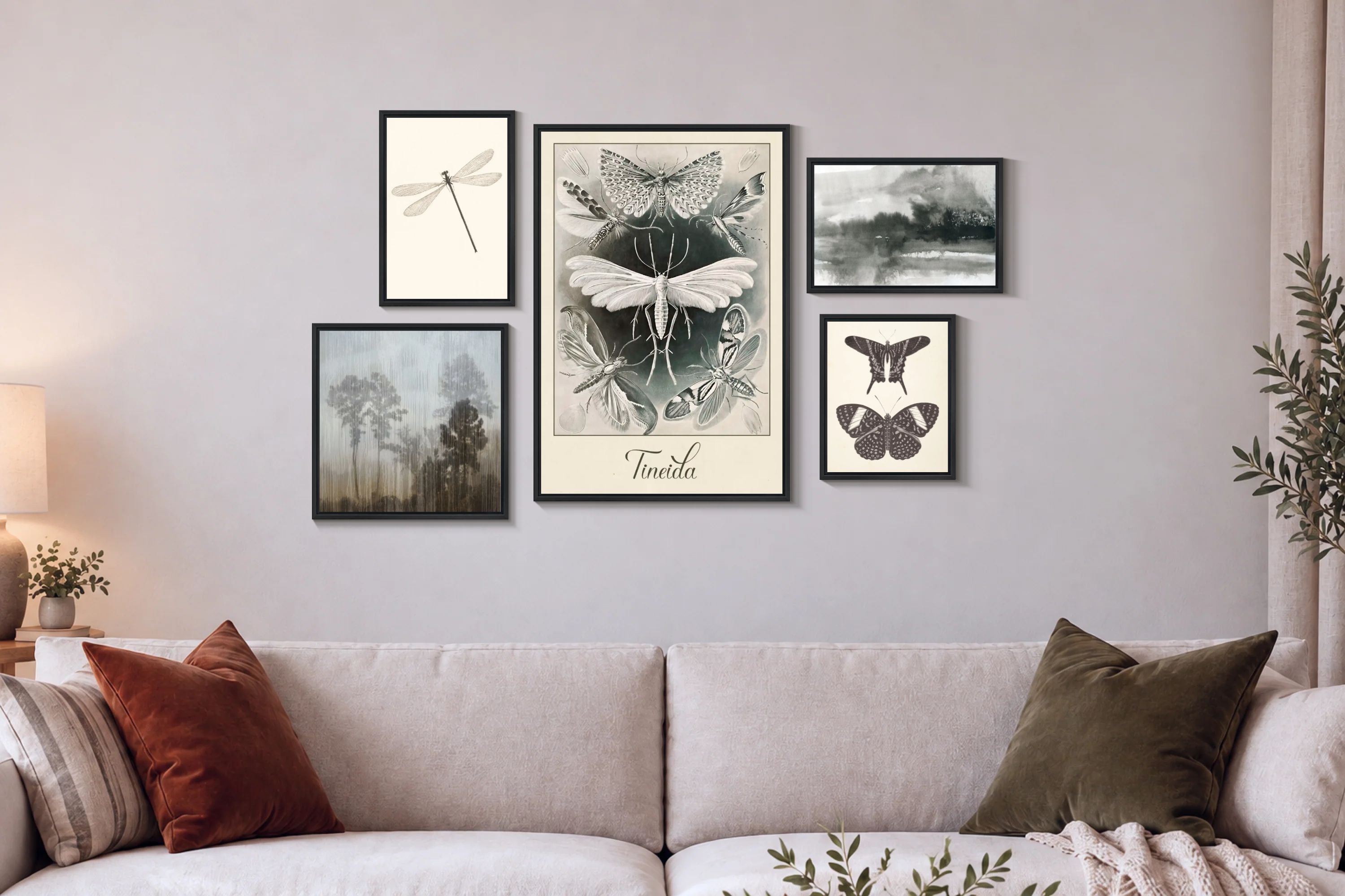 Monochrome Insects And Landscapes